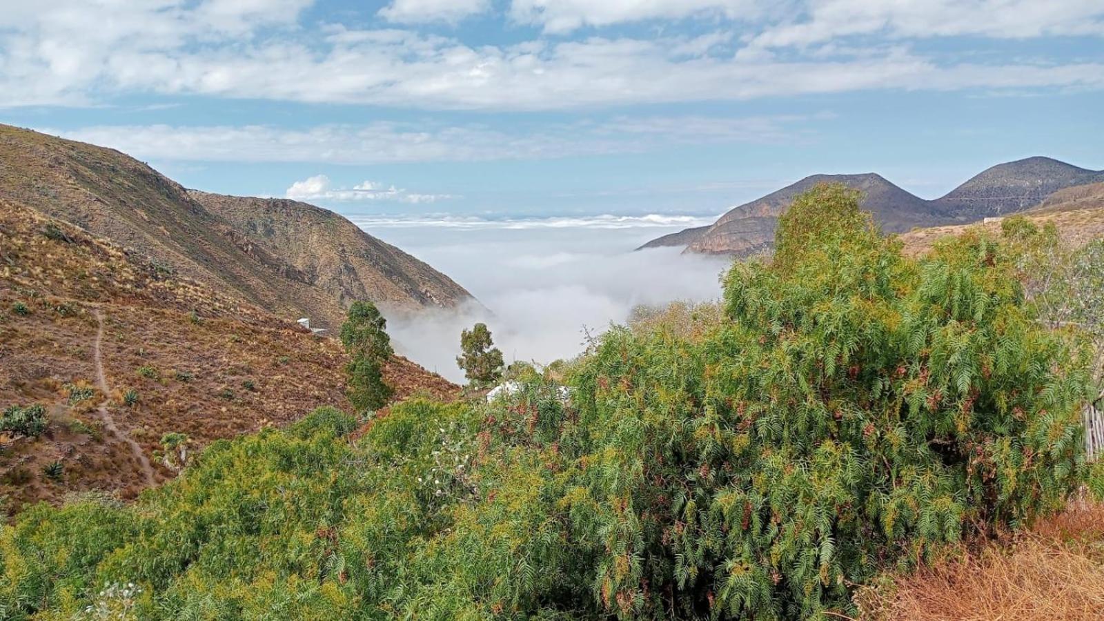 Pensjonat Ventana Al Desierto Catorce Zewnętrze zdjęcie